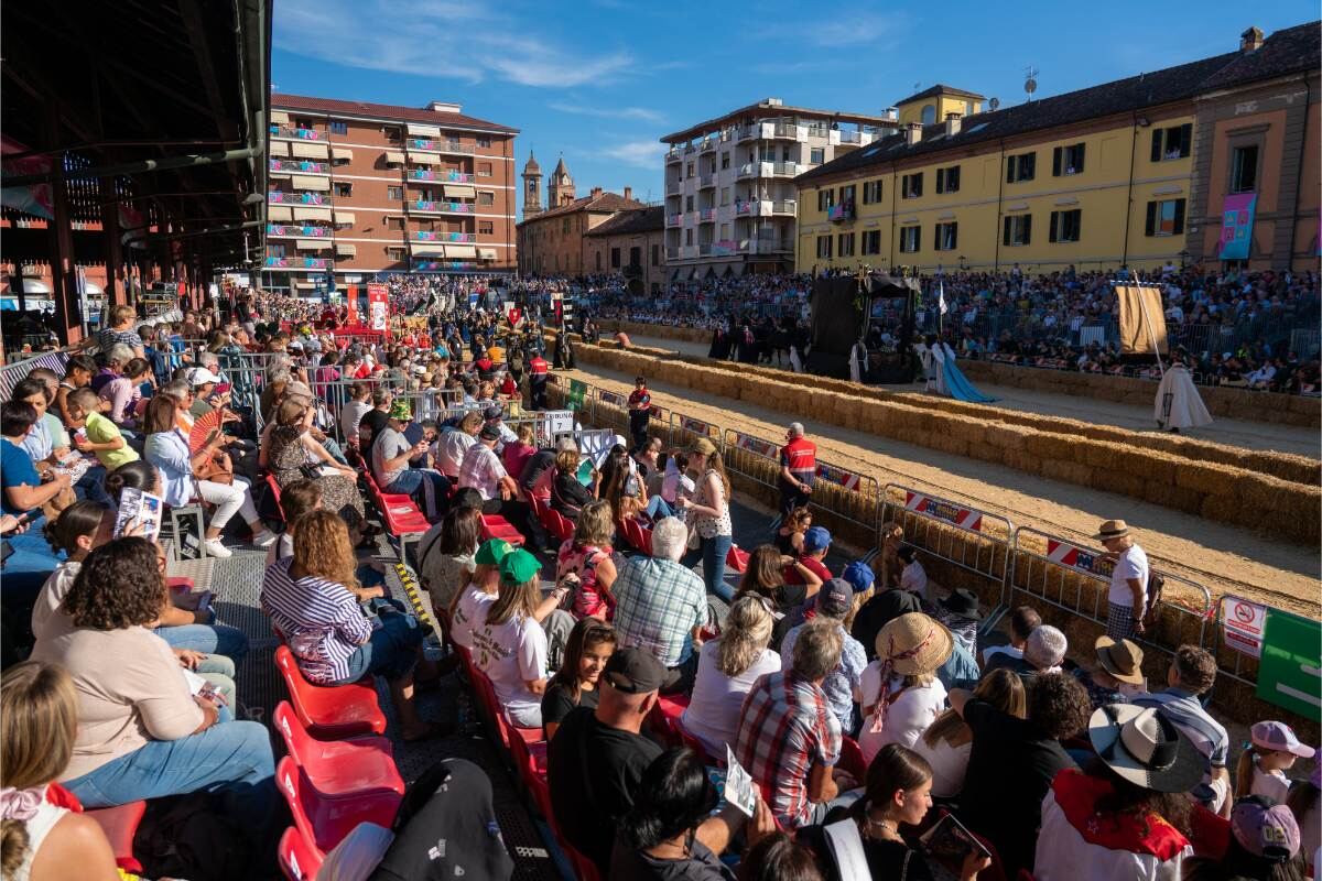 palio asini alba