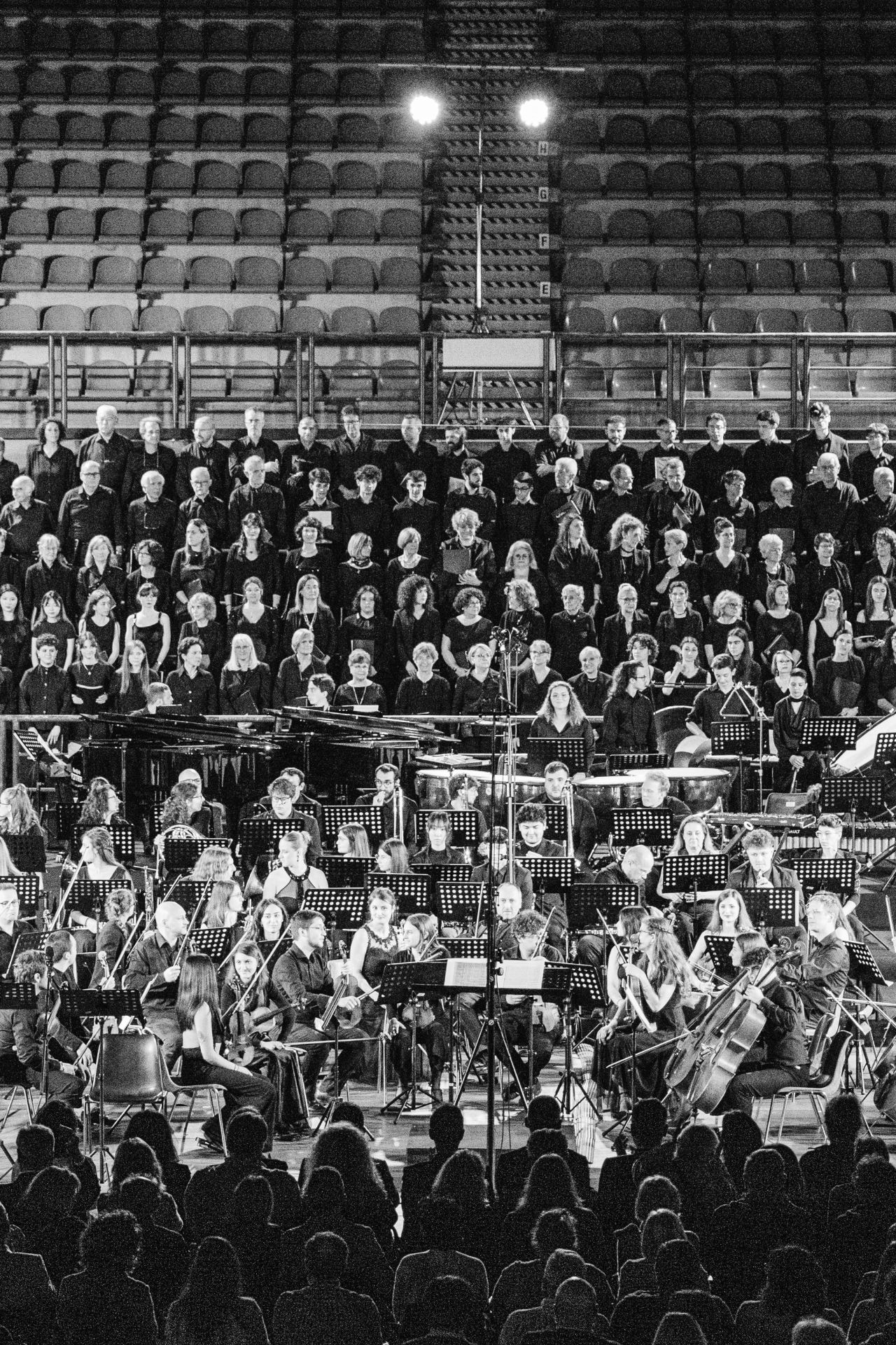 Leonardo Arte Home 7