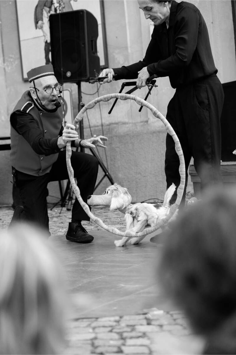 Leonardo Arte Mirabilia Festival: quando il territorio diventa spettacolo 48 6a8d8614dd9bb